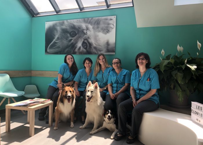 Clinique vétérinaire Dijon Talant